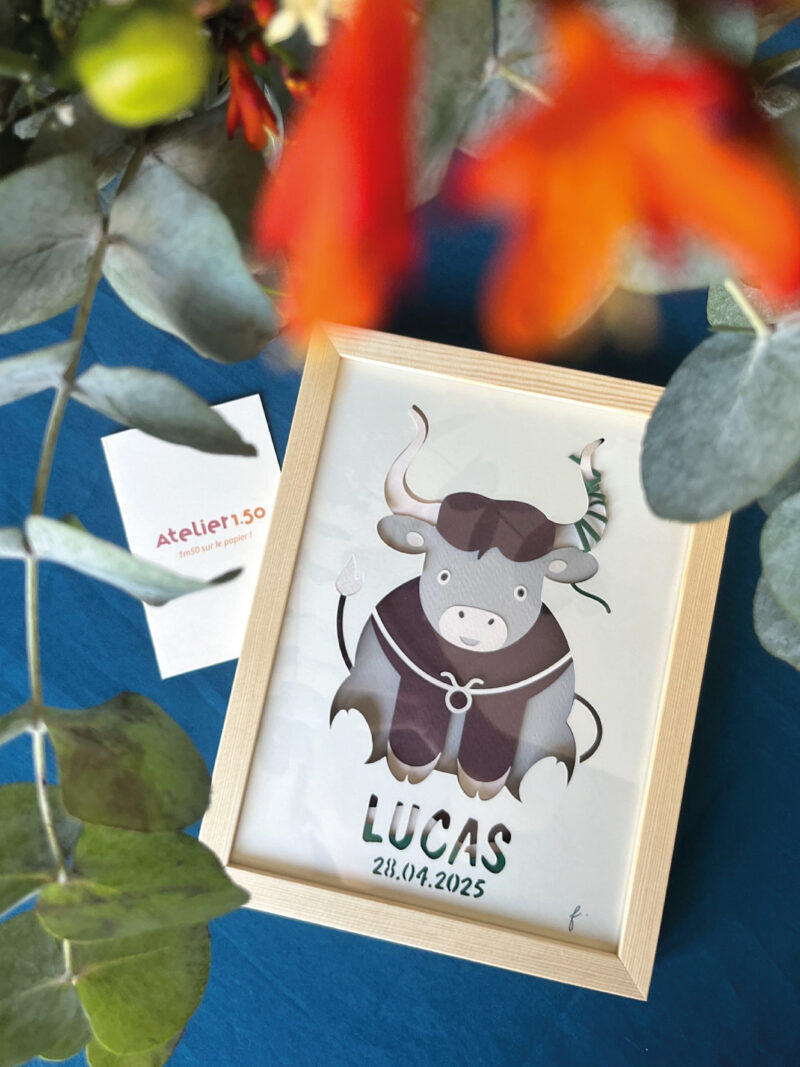 Lucas | petit taureau ♉